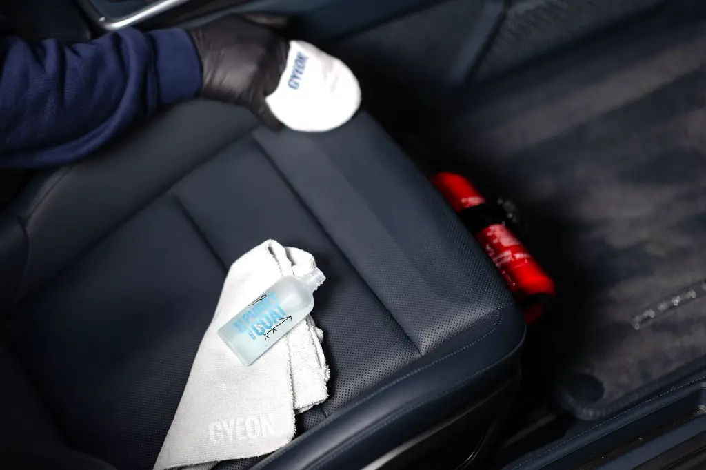 A. PurifyCoat #10.webp