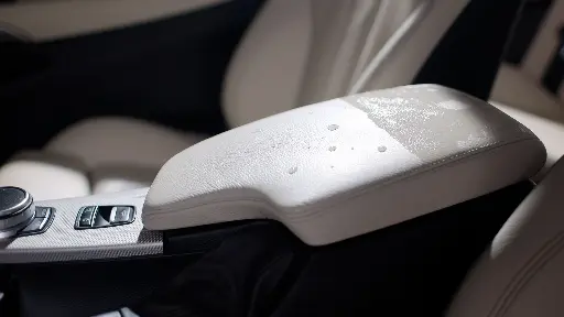 A. LeatherCoat #4.webp