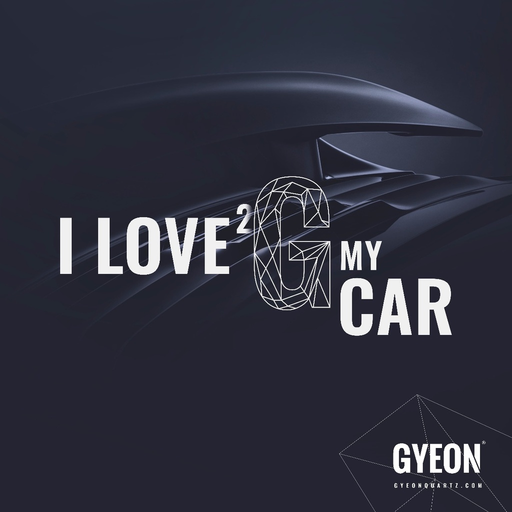 Banner / I love 2 G my car / right side logo