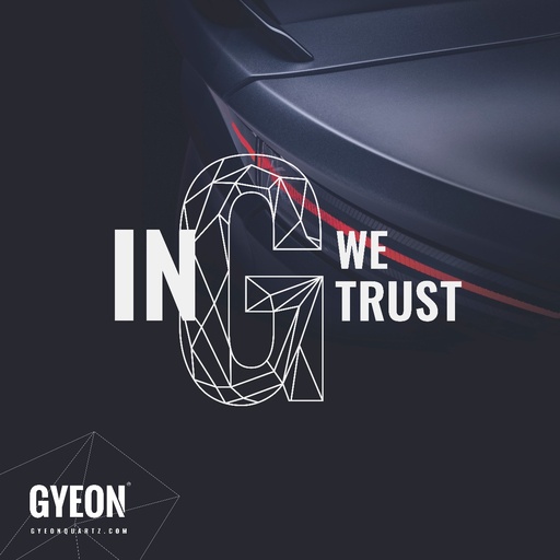 [GBIGWTLSL100x100] Banner / In G we trust / left side logo