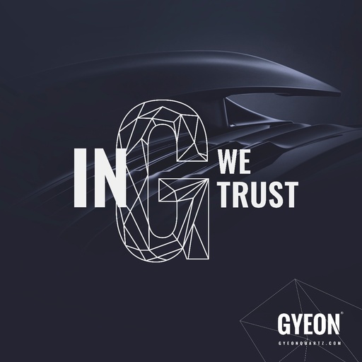 [GBIGWTRSL100x100] Banner / In G we trust / right side logo