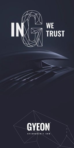 [GYBIGWTS100x200] Banner stand / In G we trust