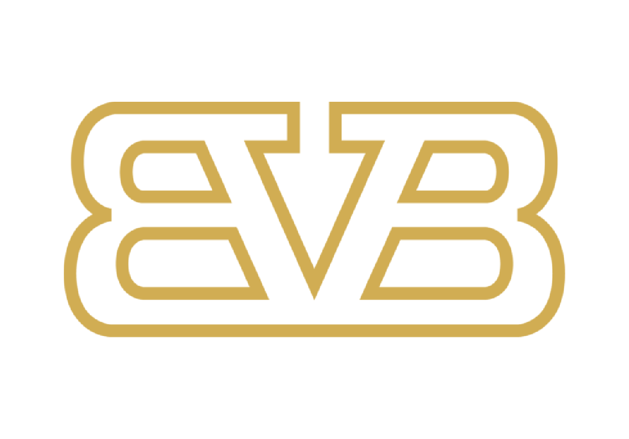 BVB AUTOMOTIVE COMMV